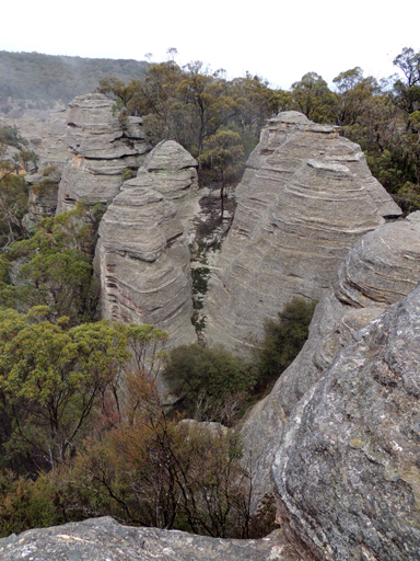  - Angus Place Trail